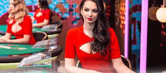 Live dealer at blackjack table in doyan303 login studio